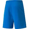 Шорти Puma teamRISE Short синій