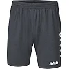 Спортивные шорты premium JAKO 4465-21