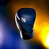Боксёрские перчатки HAYABUSA E1 Blue Black