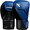 Боксёрские перчатки HAYABUSA E1 Blue Black