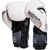 Боксерські рукавички шкіра VENUM NEW ELITE VL-2042