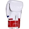 Перчатки для бокса FAIRTEX Thai Pride