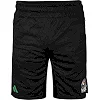 Шорти Adidas WBC Boxwear Tech Shorts (чорний) ADIWBCSH01
