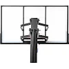 Мобильная баскетбольная стойка
 с регулируемой высотой SP-SPORT
 DELUX S027
 136х80см кольцо ø45см
 230-305см