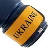 Боксерські рукавички UKRAINE MA-7771