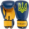 Боксерські рукавички UKRAINE MA-7771