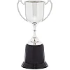 Спортивный кубок наградной SP-SPORT Pluck C-851 22см (Серебряный)