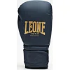 Боксерские перчатки Leone GN059B Blue Edition (капу в комплекте)