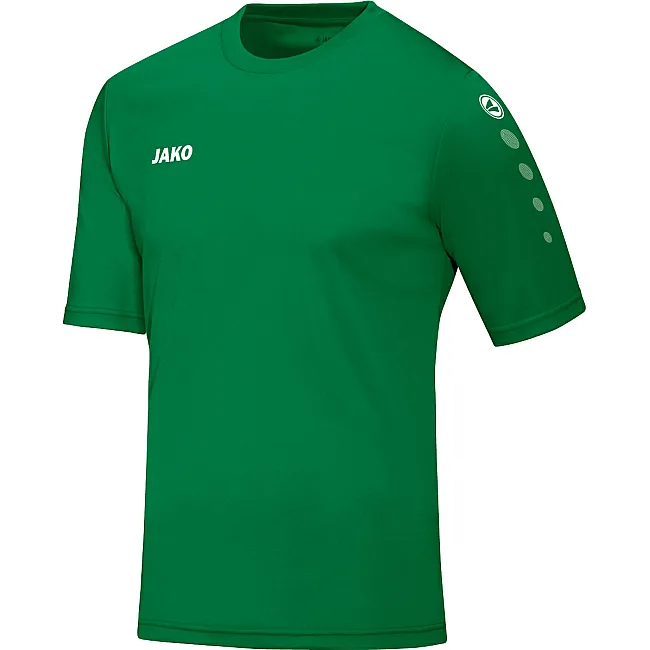 Футболка team JAKO 4233-06