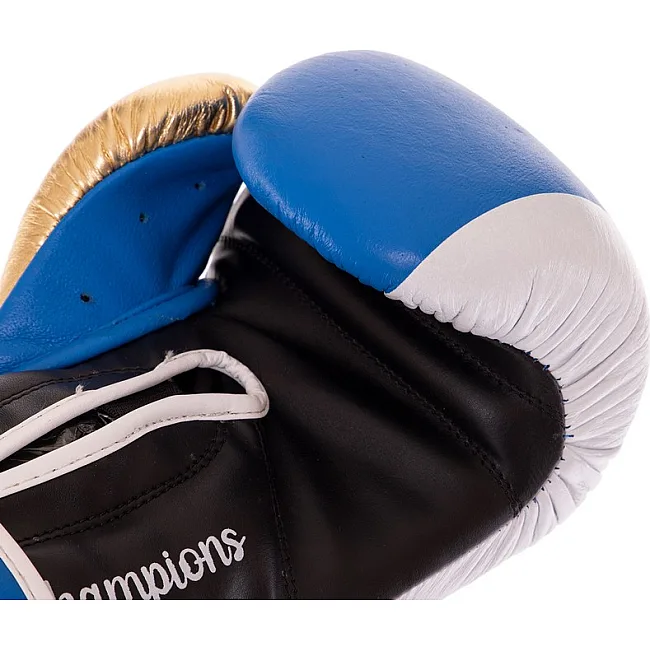 Боксерські рукавиці Everlast BO-0578