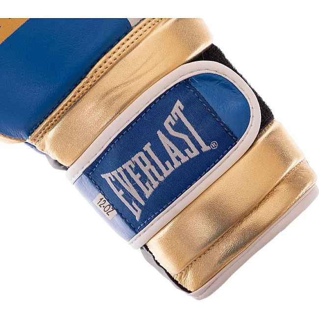 Боксерські рукавиці Everlast BO-0578