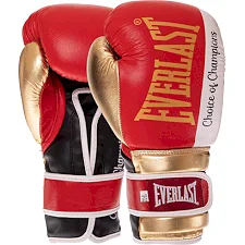 Боксерські рукавиці Everlast BO-0578
