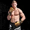 Перчатки для бокса PHANTOM APEX Elastic Gold (капа в подарок)