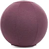 Фитбол мяч для фитнеса с чехлом FHAVK FI-1466 ø65см (Фиолетовый)