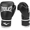 Боксерські рукавиці Everlast CORE 2 TRAINING GLOVE чорний S/M