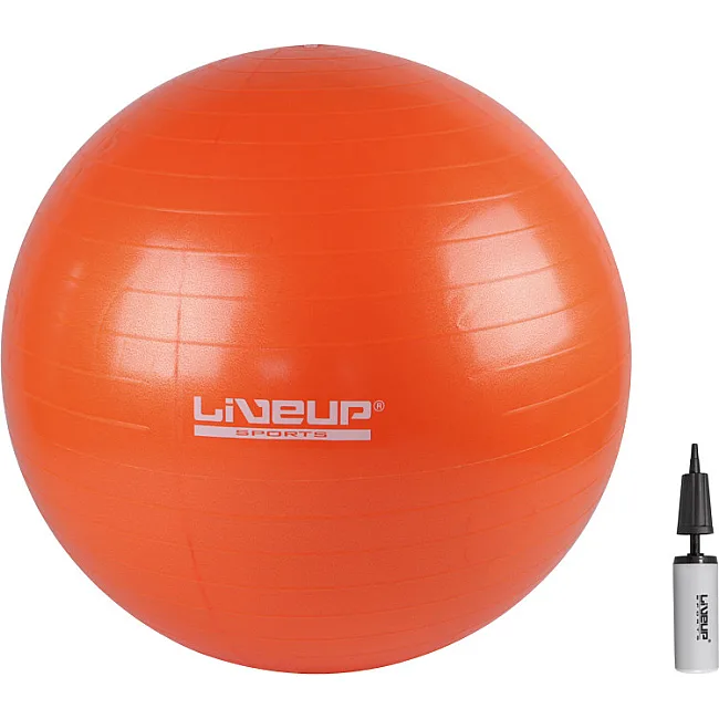 Фітбол (насос у комплекті) ANTI-BURST BALL 65см