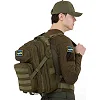 Шеврон патч
 