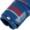 Перчатки для бокса


 кожаные FISTRAGE PRO TRAINING VL-9352 (Синий)