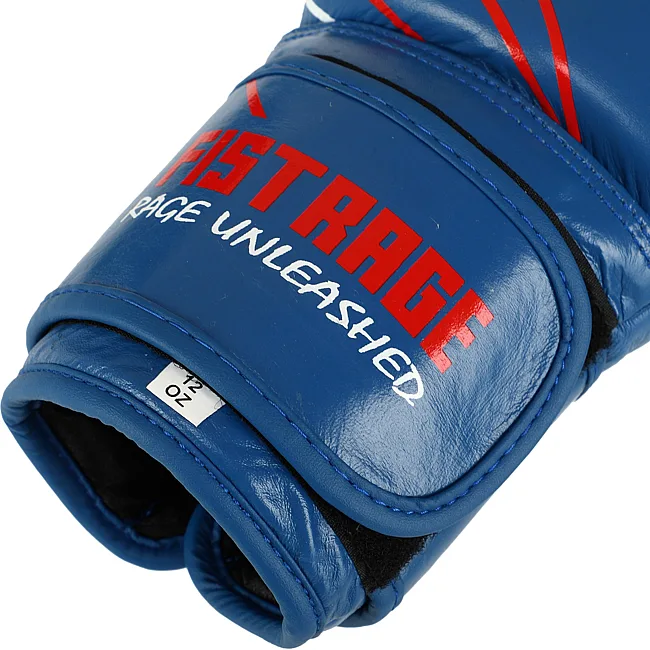 Перчатки для бокса


 кожаные FISTRAGE PRO TRAINING VL-9352 (Синий)