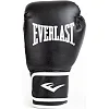 Боксерские перчатки Everlast CORE 2 TRAINING GLOVE черный S/M