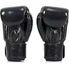 Рукавички для боксу FAIRTEX BGV1 Universal Nation Black