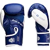 Перчатки для бокса PERESVIT Core Blue White