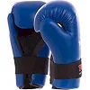 Перчатки для тхэквондо TOP TEN MA-5474