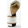 Боксерські рукавиці Everlast POWERLOCK 2R TRAINING GLOVE білий, золотий 12 унцій