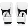 Боксерские перчатки Fairtex BGV1 White (бинты в комплекте)