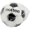 Футбольный мяч MOLTEN F5P1700 №5