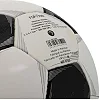 Футбольный мяч MOLTEN F5P1700 №5