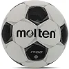 Футбольный мяч MOLTEN F5P1700 №5