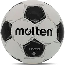 Футбольный мяч MOLTEN F5P1700 №5