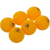 Мячи для настольного тенниса STIGA LION 1* 40+ TB-8032 6шт