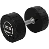 Гантель профессиональная CPU покрытие ZELART TA-3111-27_5 1шт 27,5кг