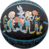 Мяч баскетбольный Spalding SPACE JAM TUNE SQUAD ROSTER 7