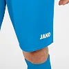 Спортивные шорты manchester 2.0 c104 JAKO 4400-89