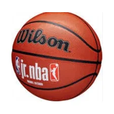 Баскетбольный мяч Wilson JR NBA FAM LOGO INDOOR OUTDOOR size 5