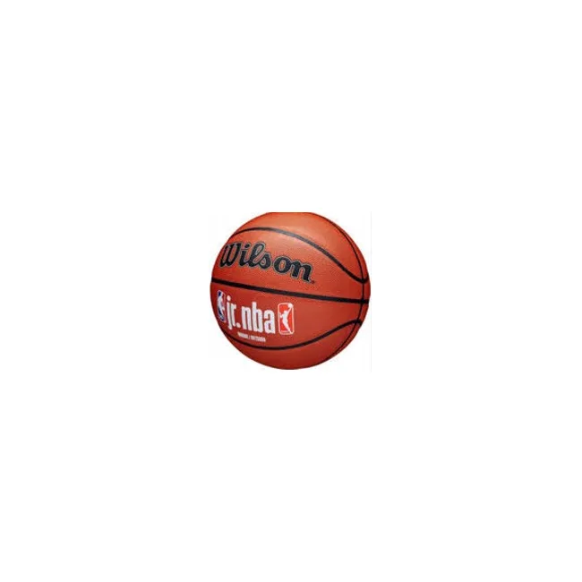 Баскетбольный мяч Wilson JR NBA FAM LOGO INDOOR OUTDOOR size 5, ст. WZ2009801XB5