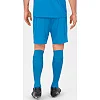 Спортивные шорты manchester 2.0 c104 JAKO 4400-89
