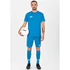 Спортивные шорты manchester 2.0 c104 JAKO 4400-89
