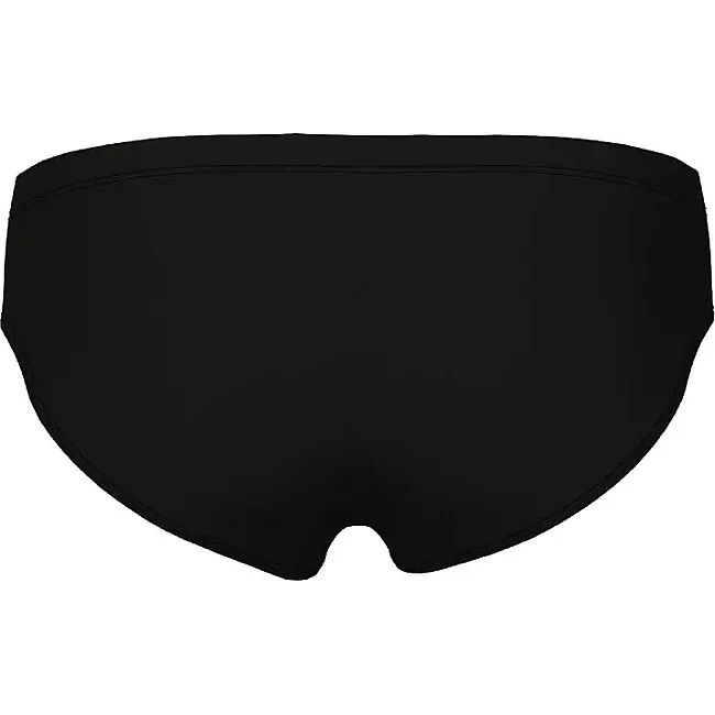 Плавки-слепы для мужчин Arena REFLECTING SWIM BRIEFS черный