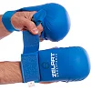 Накладки на руки для карате ZELART

 BO-7250 (Красный)