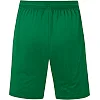 Спортивні шорти Allround JAKO 4499-200