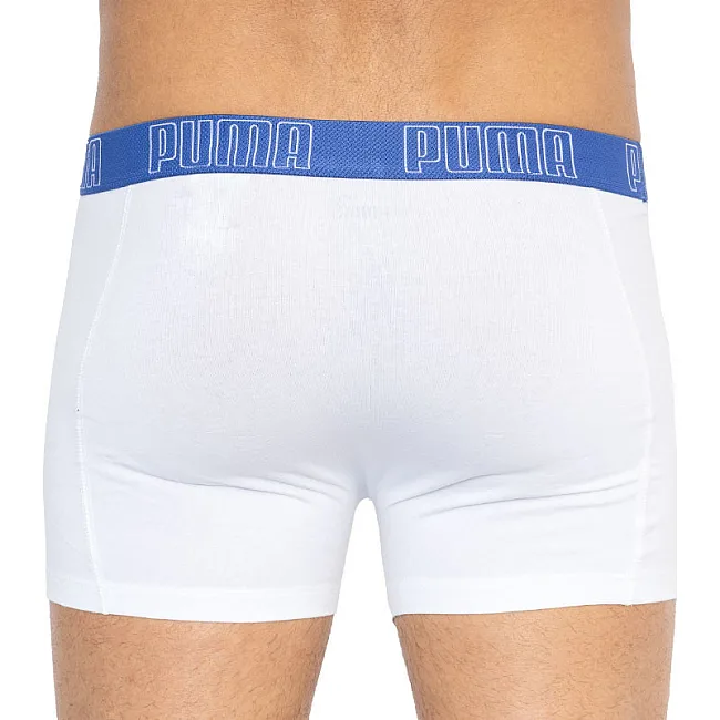 Труси-боксери PUMA YD BOLDTRIPE BOXER 2P чоловічі