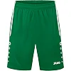 Спортивні шорти Allround JAKO 4499-200