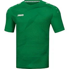 Футболка premium JAKO 4210-06