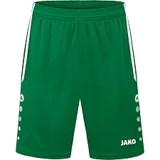 Спортивні шорти Allround JAKO 4499-200