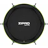 Батут Zipro Jump Pro с внутренней сеткой 10 футов 312 см черно-зеленый