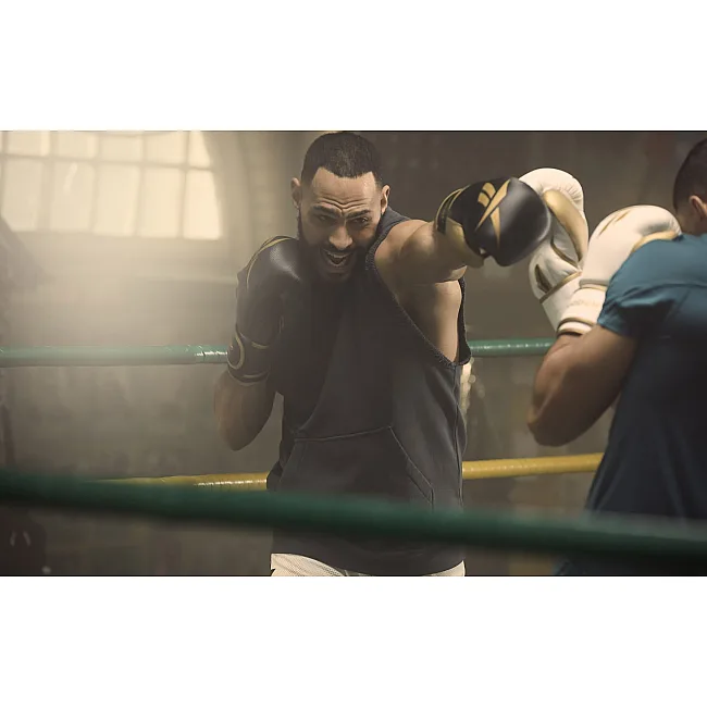 Боксерские перчатки Reebok Boxing Gloves черный, золотистый 10 унций